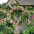 Mon jardin cottage