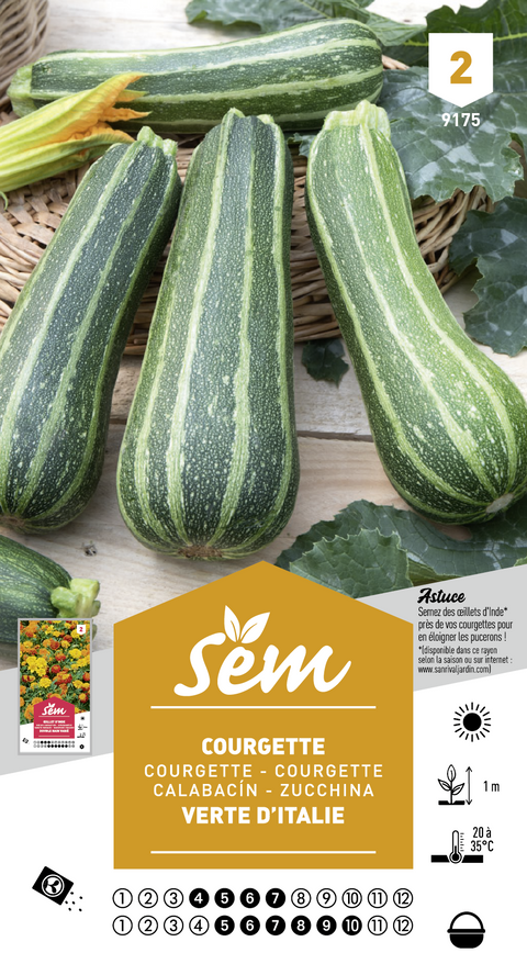 Courgette verte d'Italie - Graines
