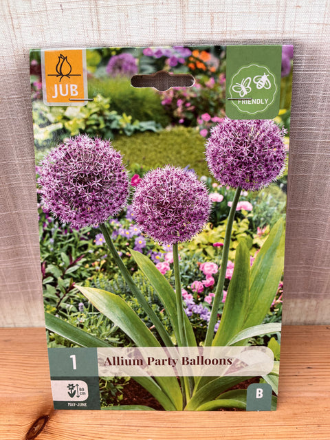 Allium Party Balloons - 1 bulbe