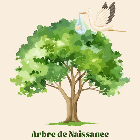 Arbre de naissance – Un Cadeau unique et symbolique