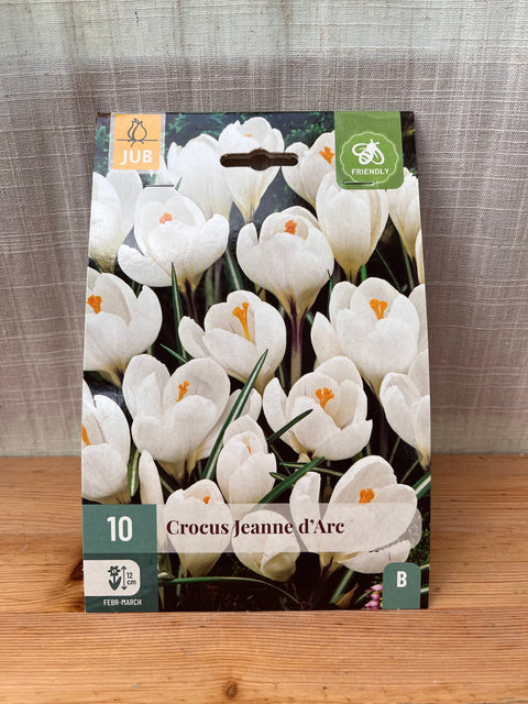 Crocus Jeanne d'Arc - 10 bulbes