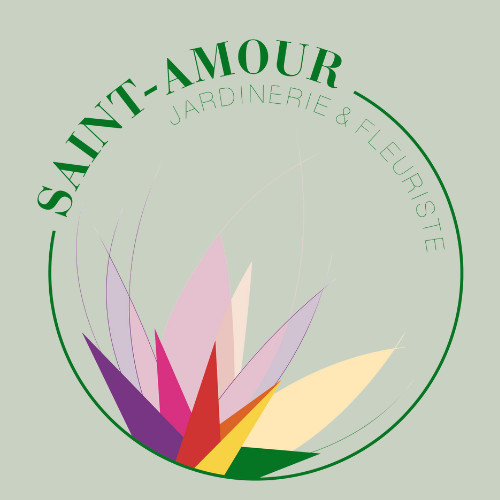 Saintamourcréation