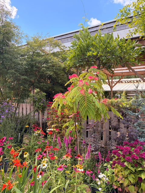 Votre jardin, Notre plan.
