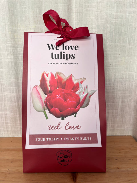 Mix Tulipes 'Red love' - 20 bulbes