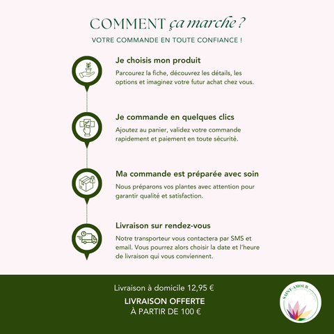 Informations produit Saint Amour Creation
