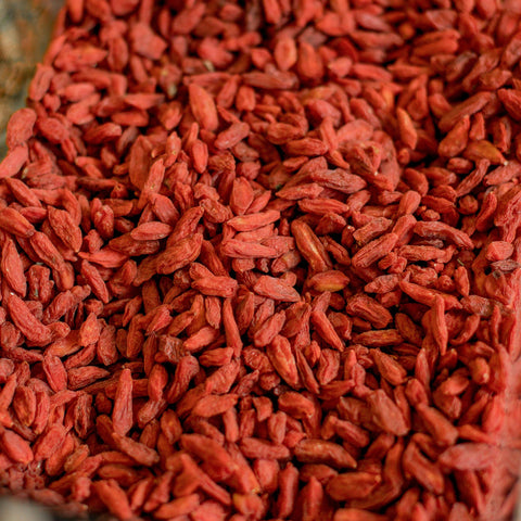 Goji - Lycium 'Big Lifeberry®'