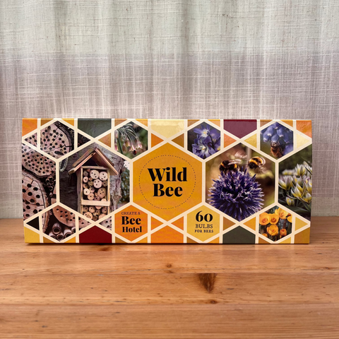 Mix 60 bulbes - Wild Bee