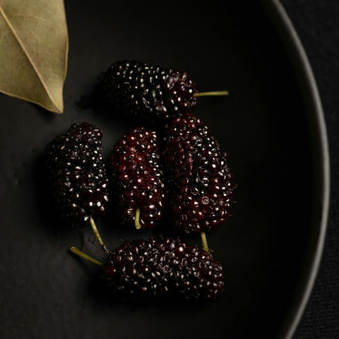 Mûrier noir