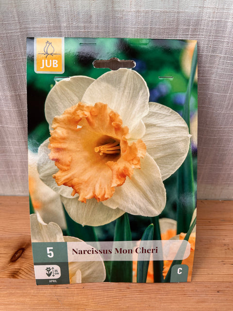 Narcisse Mon Cheri - 5 bulbes