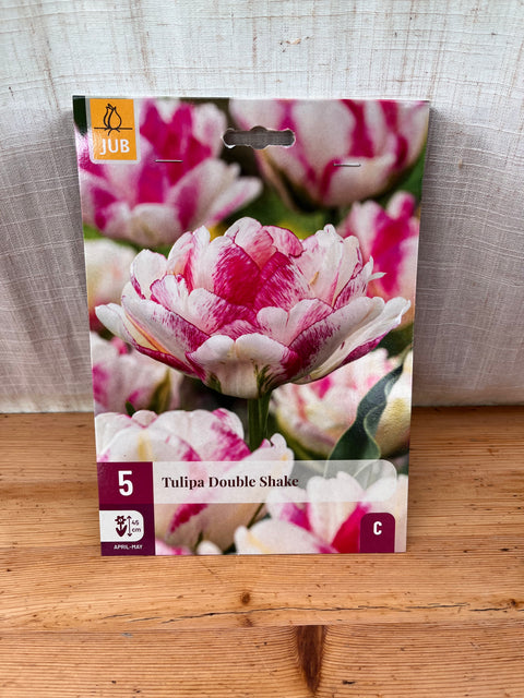Tulipe Double Shake - 5 bulbes