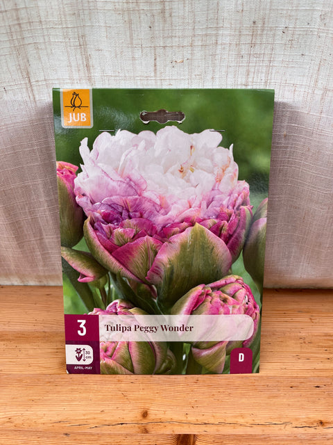 Tulipe Peggy wonder - 3 bulbes