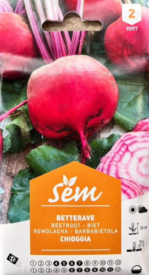 Betterave Chioggia - Graines
