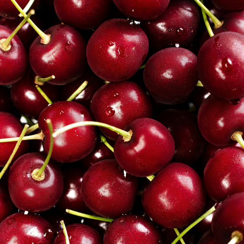 Cerisier 'Burlat'