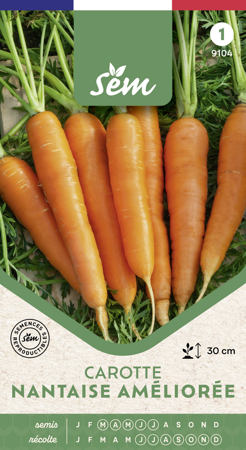 Carotte nantaise - Graines