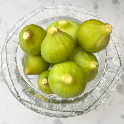 Figuier Goutte de Miel