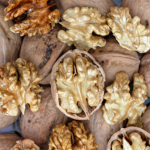 Noyer commun - Juglans regia - DEMI TIGE