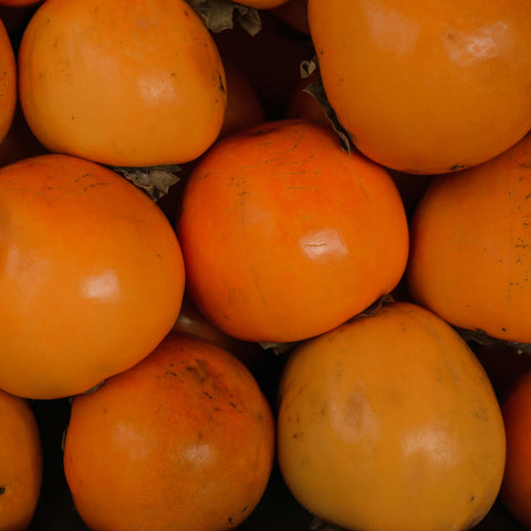 kaki Muscat