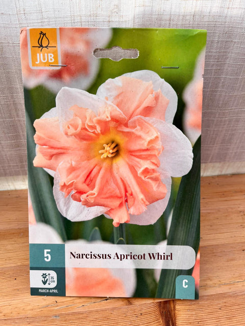 Narcisse Apricot Whirl - 5 bulbes