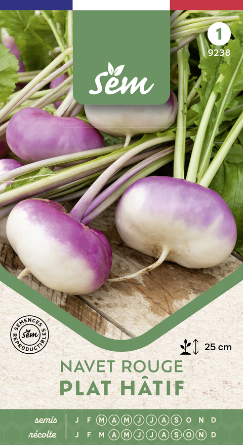 Navet rouge plat hâtif - Graines