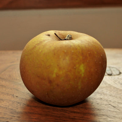 Pommier Canada grise